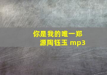 你是我的唯一郑源陶钰玉 mp3